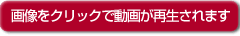 画像をクリックで動画が再生されます