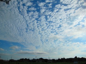 img_0021