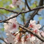 img_0912-3 img_0912-3