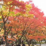 s-IMG_0113