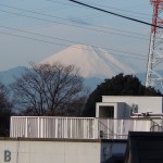 20101229 045