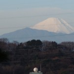 20101229 047