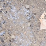 20110108 002