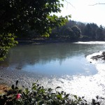 20110108 007