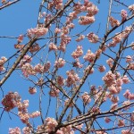 20110310 017