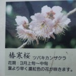 20110310 023