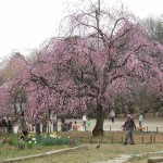 20110402 017