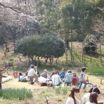 20110402 031