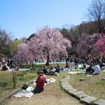 20120407 001