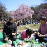 20120407 002