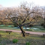 20120407 004