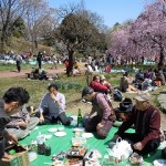 20120407 005
