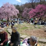 20120407 006