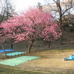 20120407 012