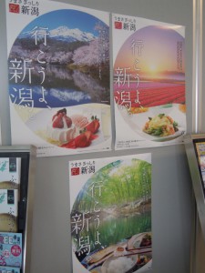 DSCN2915