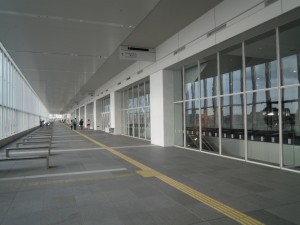 DSCN2923