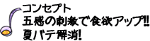 作り方